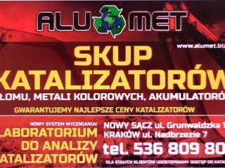 Odkupimy Twój katalizator $$